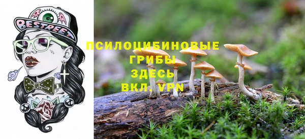 СК Кукмор