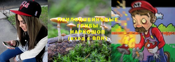 СК Кукмор